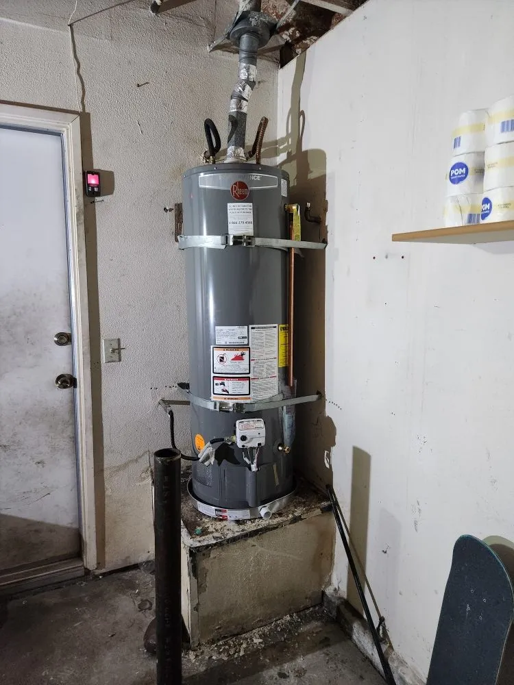 Top-rated landscaping services for residential properties in Palmdale, CA by Miguel's Handyman Services