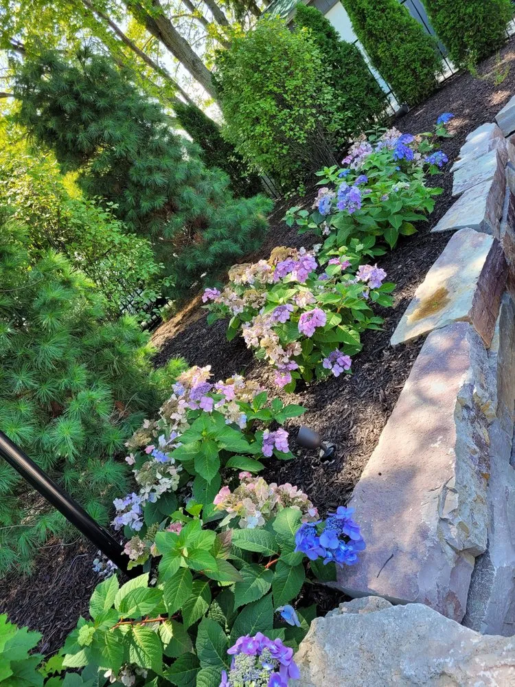 Affordable yard cleanup service experts serving Sturtevant, WI - Miguel's Landscape