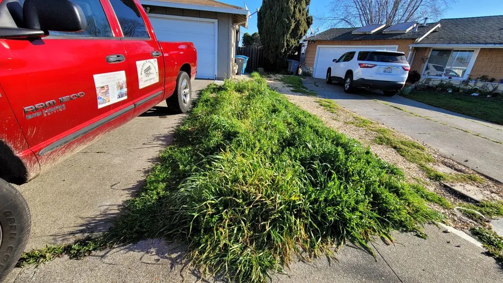 Expert residential landscaping for beautiful yards across American Canyon, CA - Miguel's Landscaping