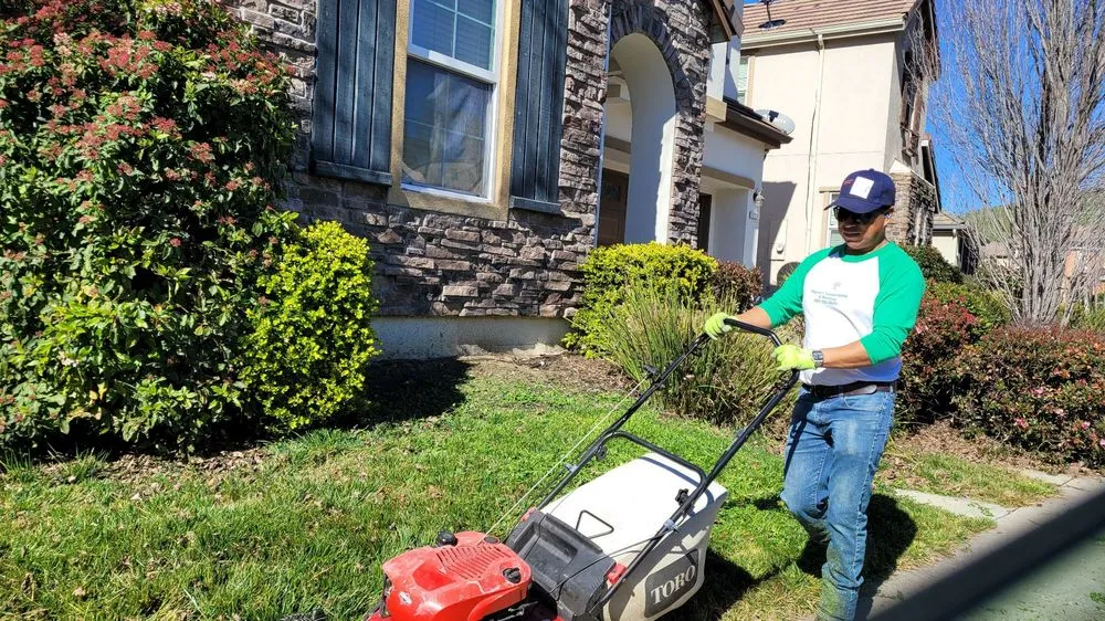 Professional residential landscaping in American Canyon, CA by Miguel's Landscaping