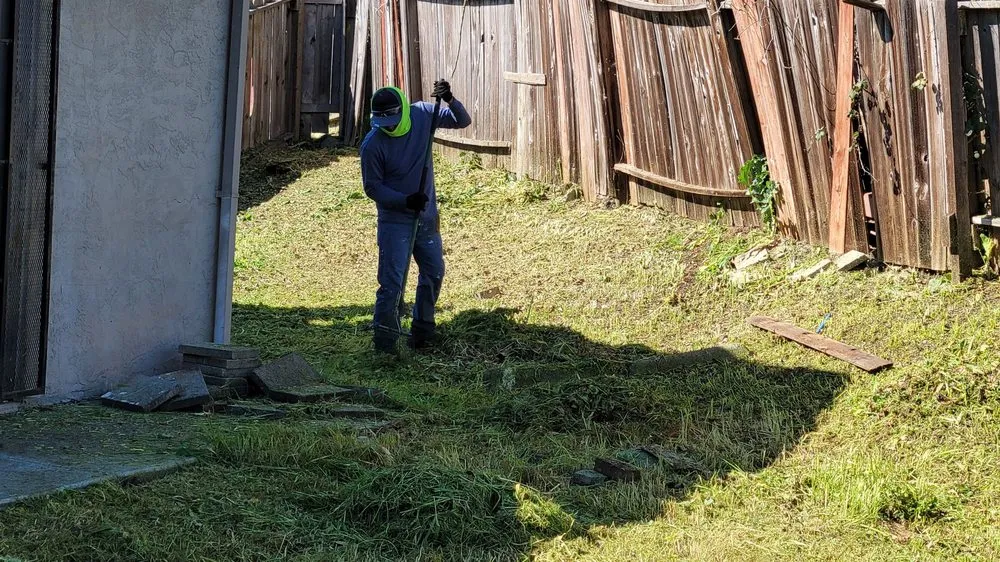 Top-rated yard maintenance experts serving American Canyon, CA - Miguel's Landscaping