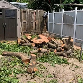 Local yard cleanup service for outdoor upgrades across Escondido, CA - Miguels Landscaping and Tree Services