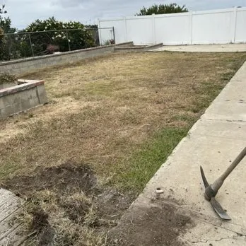 Custom yard maintenance in Escondido, CA by Miguels Landscaping and Tree Services