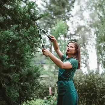 Expert lawn mowing service in Escondido, CA by Miguels Landscaping and Tree Services