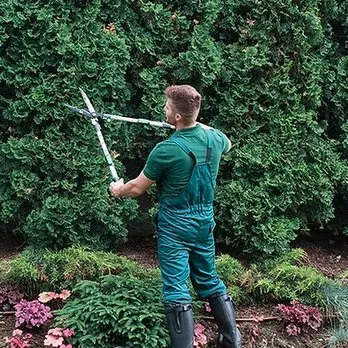 Professional landscape installation experts serving Escondido, CA - Miguels Landscaping and Tree Services