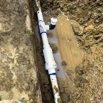 Expert yard cleanup service for outdoor upgrades across Escondido, CA - Miguels Landscaping and Tree Services