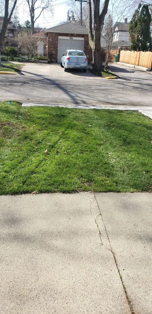 Affordable landscape design in Cicero, IL by Miguel's Landscaping