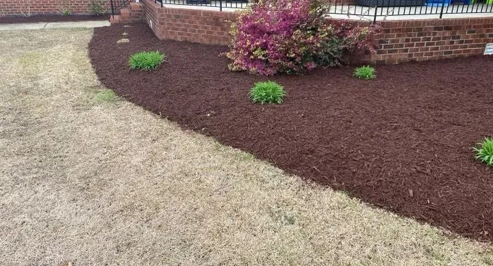 Trusted yard cleanup service in Farmville, NC - Miguel’s Landscaping