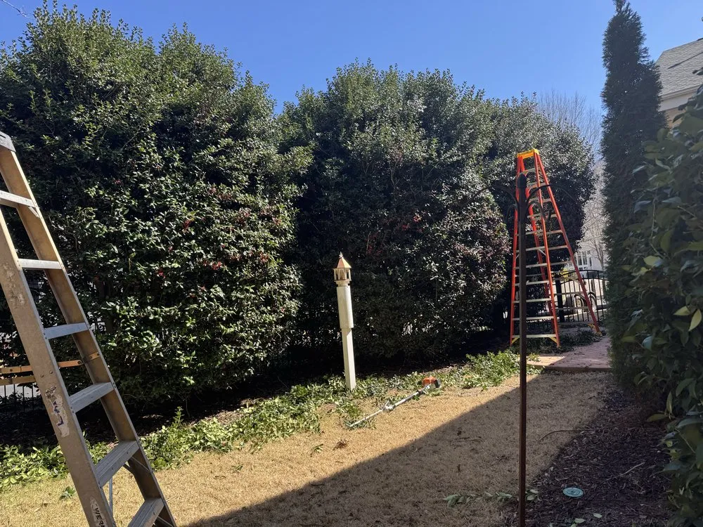 Local landscape installation near you across Lake Park, NC - miguel’s Landscaping