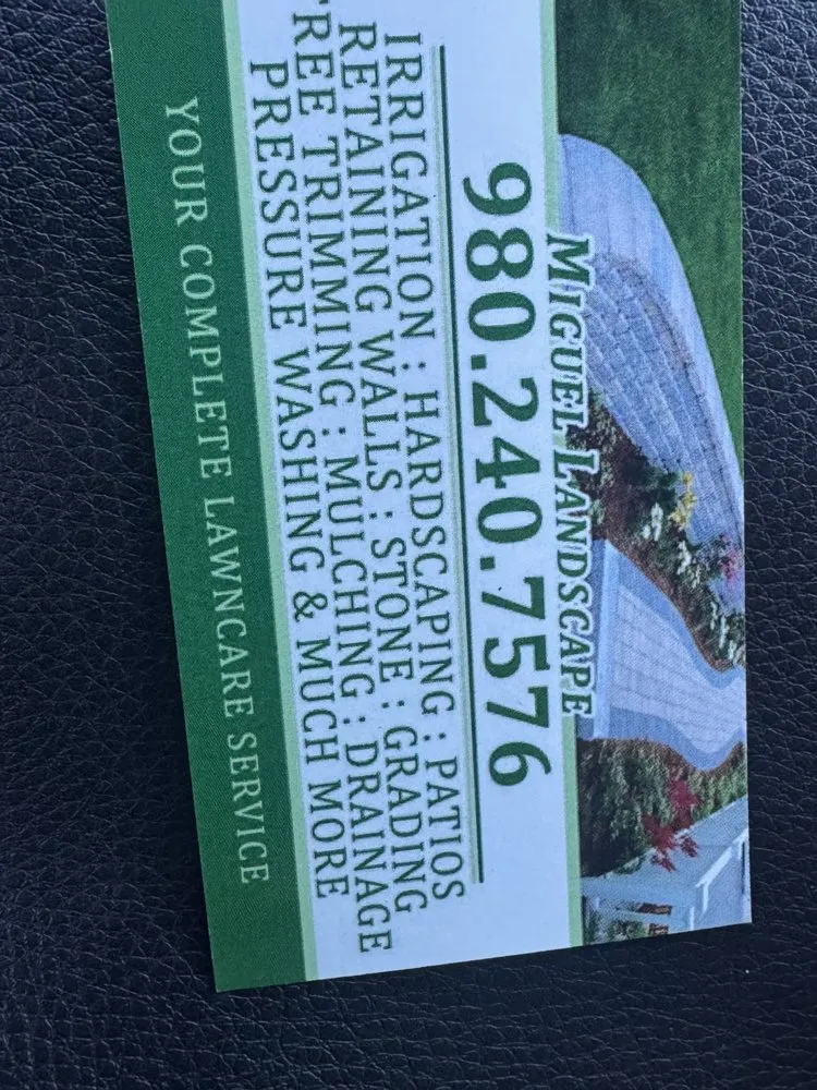 Top-rated yard cleanup service experts serving Lake Park, NC - miguel’s Landscaping