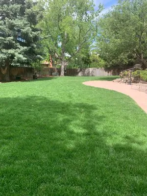 Miguel's Landscaping Logo