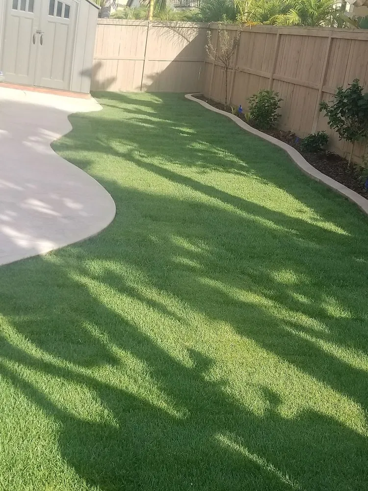 Top-rated landscape design in Oceanside, CA - Miguel’s Landscaping