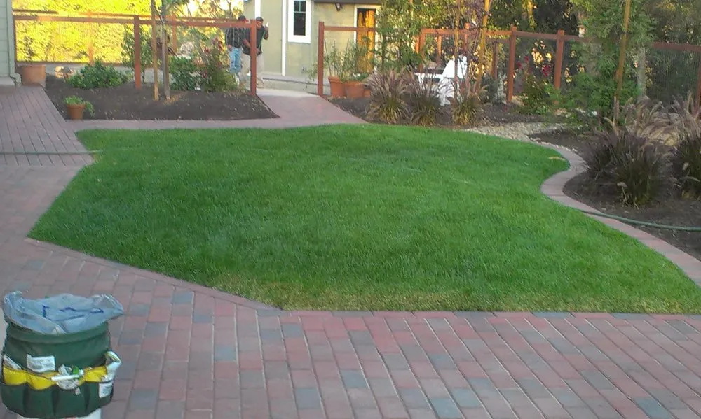 Top-rated yard cleanup service for outdoor upgrades in Pine Grove, CA by Miguels Landscaping