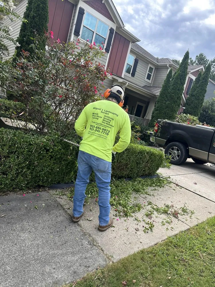 Reliable landscape design in Apex, NC - Miguel's Landscaping Services