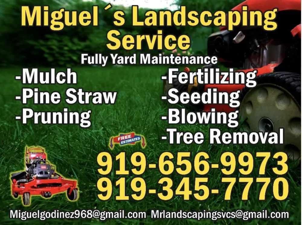 Affordable yard cleanup service in Apex, NC - Miguel's Landscaping Services