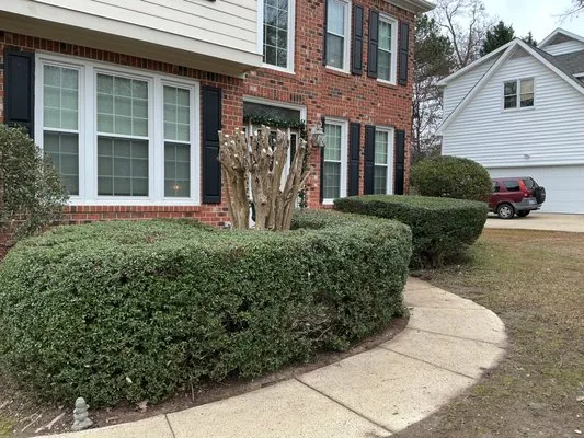 Miguel's Landscaping Services Logo