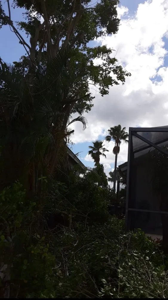 Top-rated yard maintenance experts serving West Palm Beach, FL - Miguel's Landscaping Services