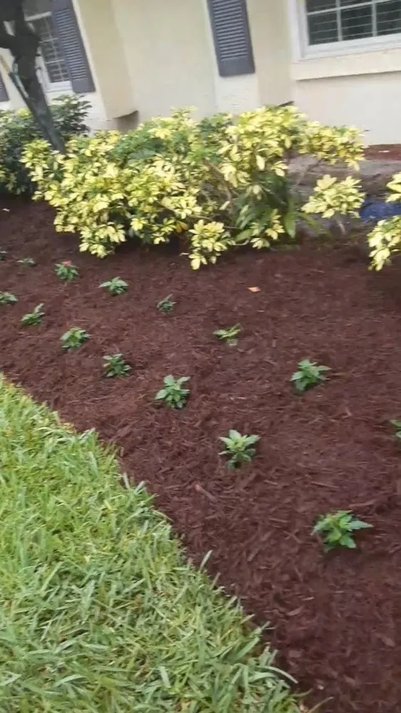 Reliable landscaping services in West Palm Beach, FL - Miguel's Landscaping Services