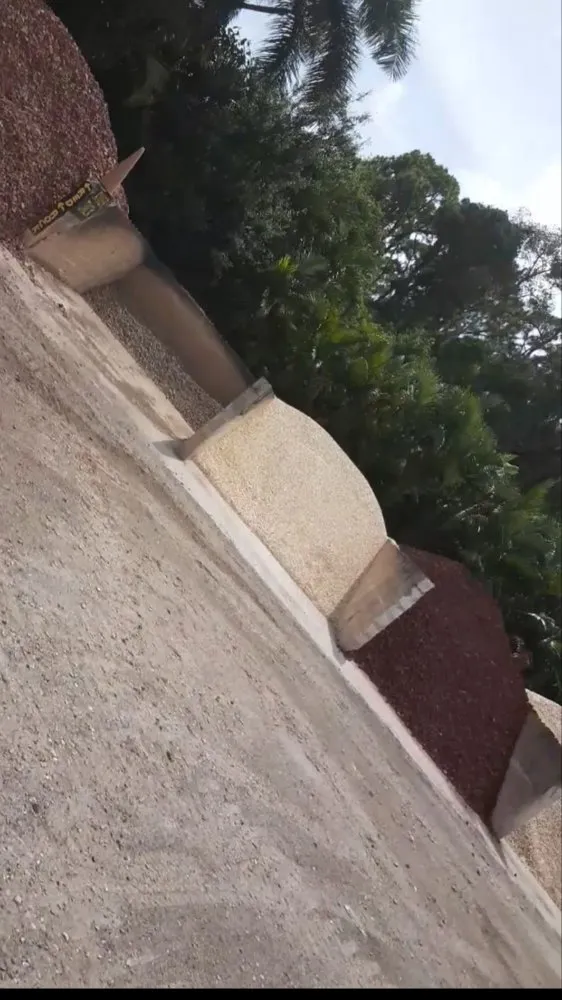 Trusted yard cleanup service in West Palm Beach, FL - Miguel's Landscaping Services