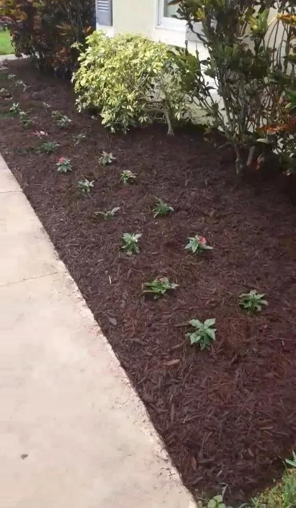 Trusted garden landscaping experts serving West Palm Beach, FL - Miguel's Landscaping Services