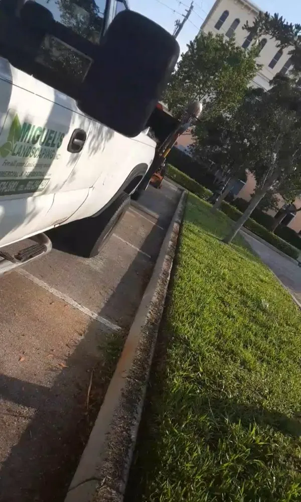 Reliable landscape installation experts serving West Palm Beach, FL - Miguel's Landscaping Services
