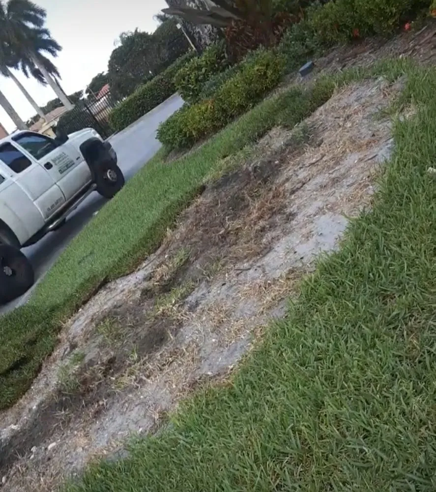 Professional landscape design experts serving West Palm Beach, FL - Miguel's Landscaping Services