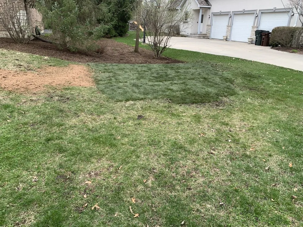 Top-rated outdoor landscaping for beautiful yards across Waukegan, IL - Miguel's Landscaping