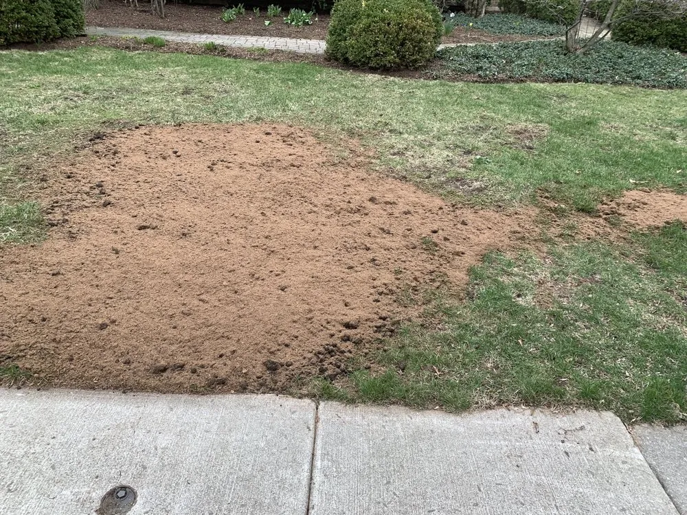 Local landscape installation for residential properties in Waukegan, IL by Miguel's Landscaping
