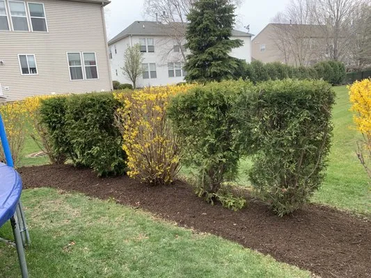 Miguel's Landscaping Logo