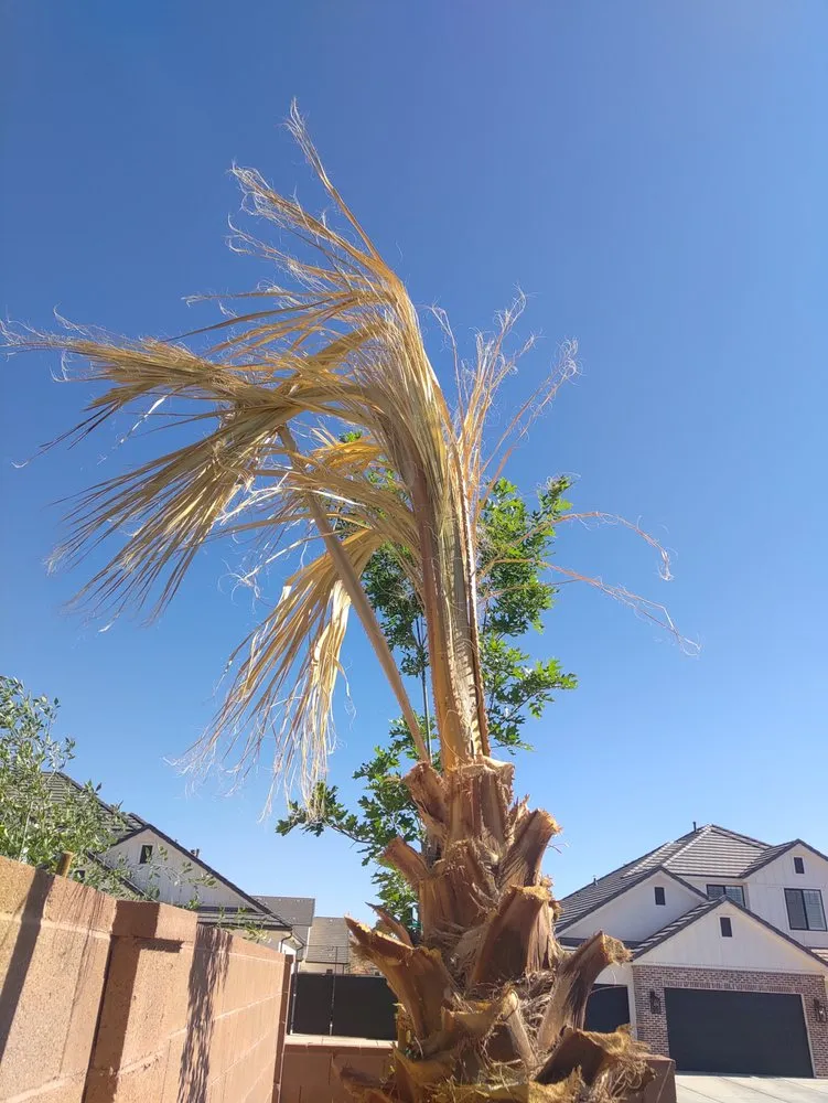 Local outdoor landscaping near you in Saint George, UT by Miguel's Lawn Care & Landscaping