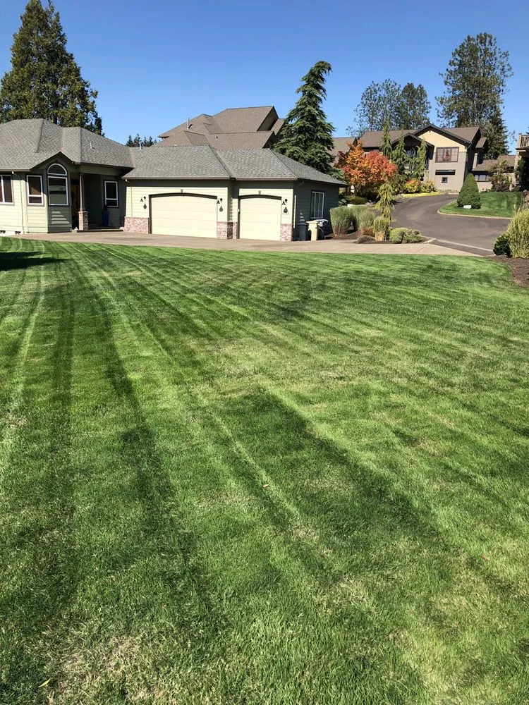 Top-rated lawn care service experts serving Corvallis, OR - Miguel's Lawn Care