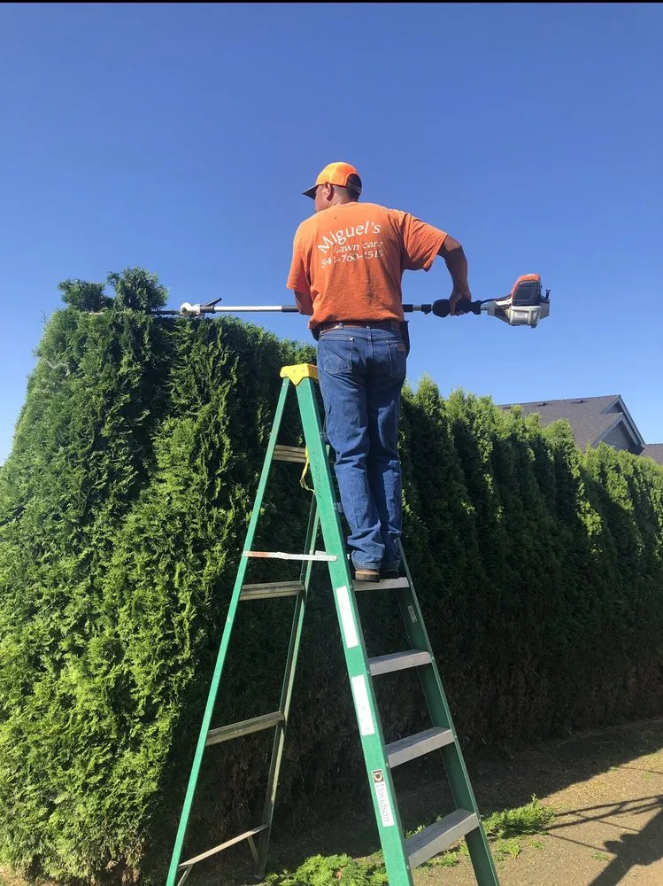 Professional landscape installation in Corvallis, OR - Miguel's Lawn Care