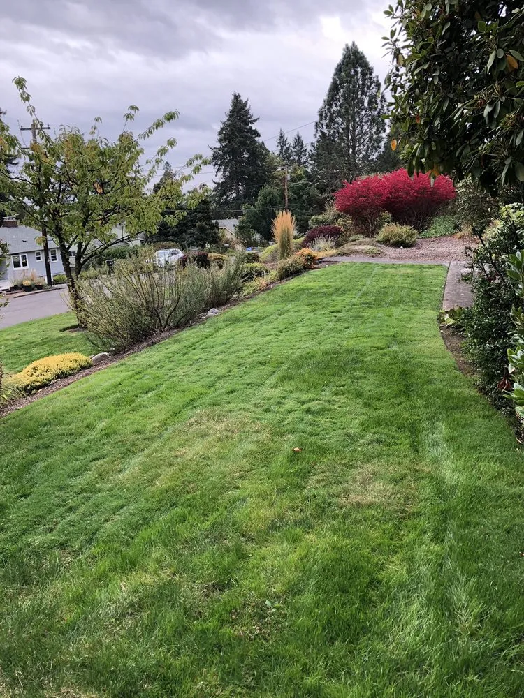 Local landscaping services in Corvallis, OR by Miguel's Lawn Care