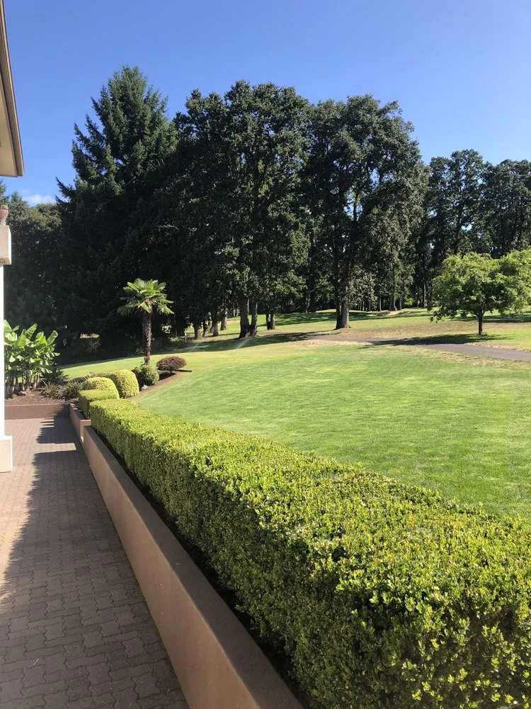 Expert yard cleanup service in Corvallis, OR by Miguel's Lawn Care