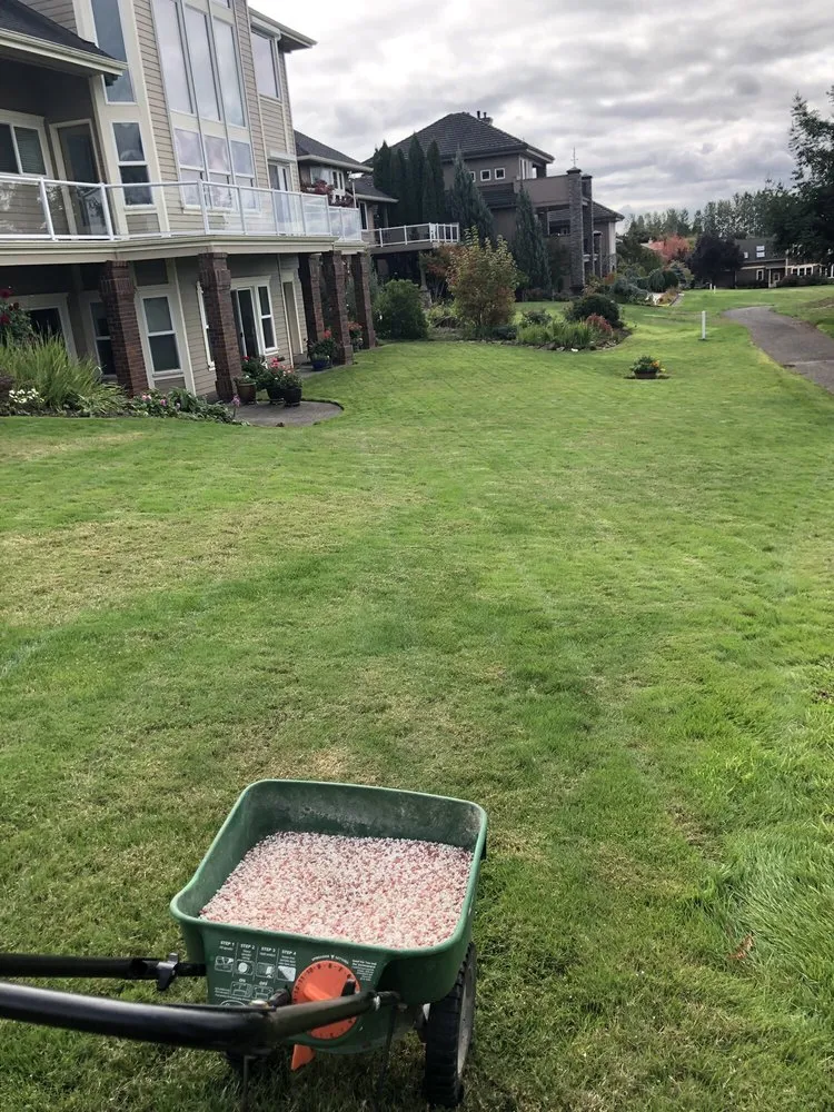 Expert landscape installation for year-round maintenance across Corvallis, OR - Miguel's Lawn Care