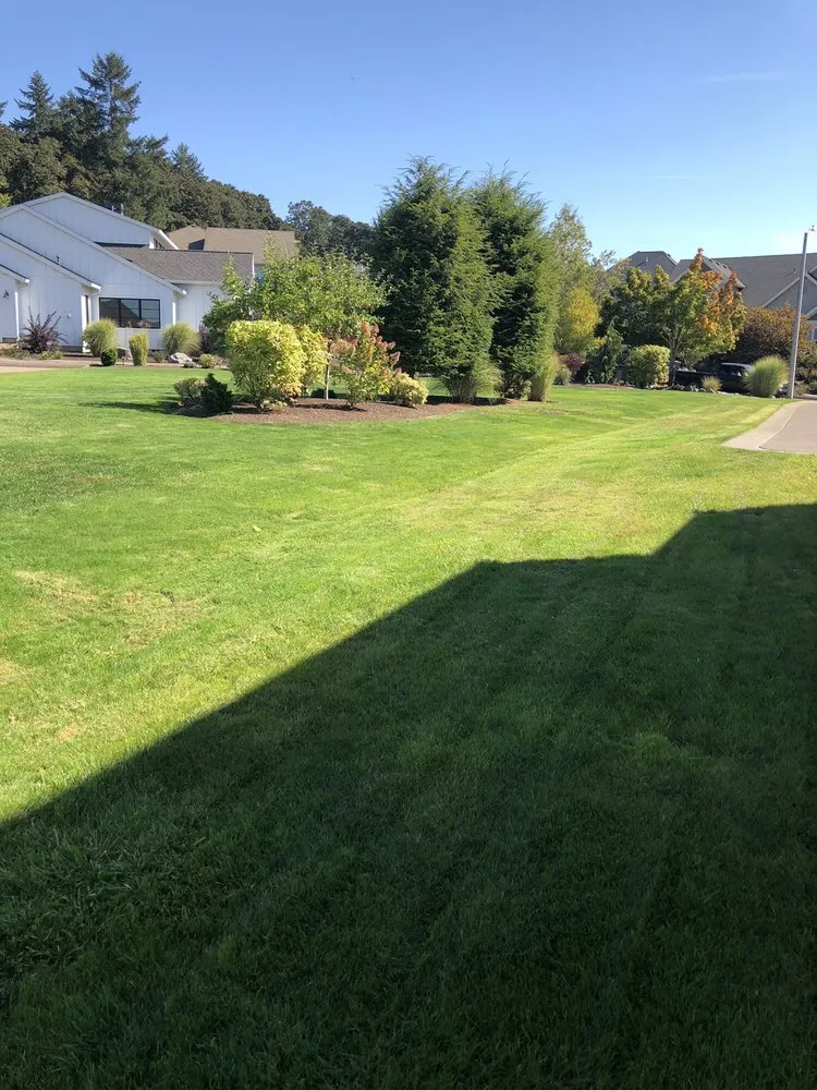 Reliable yard maintenance in Corvallis, OR by Miguel's Lawn Care