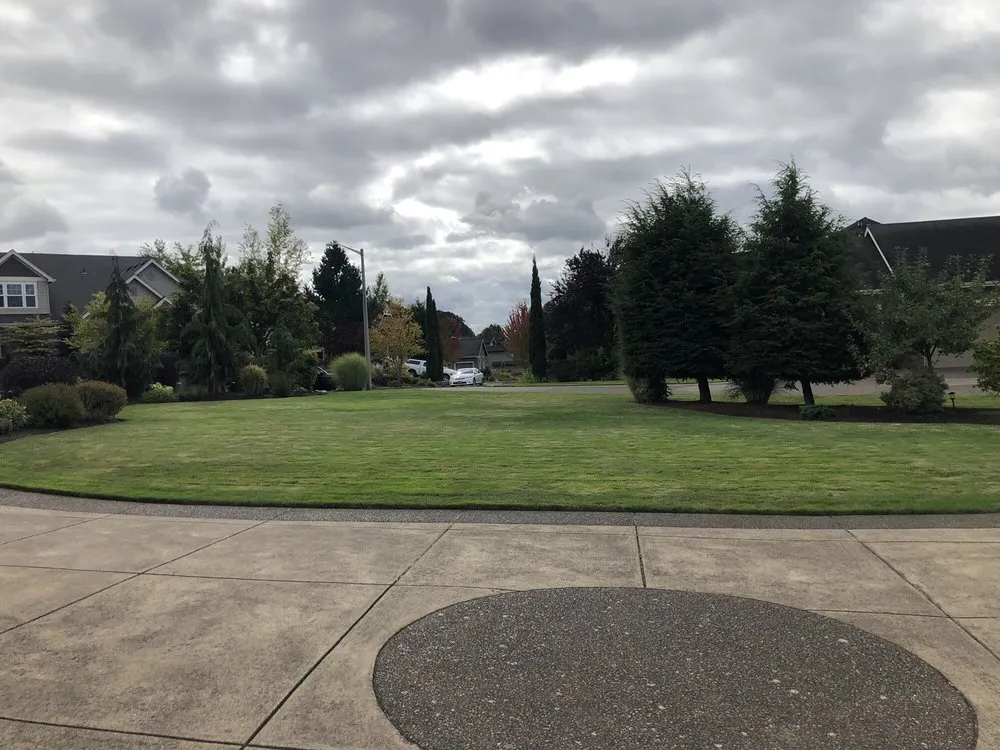 Affordable yard cleanup service in Corvallis, OR - Miguel's Lawn Care