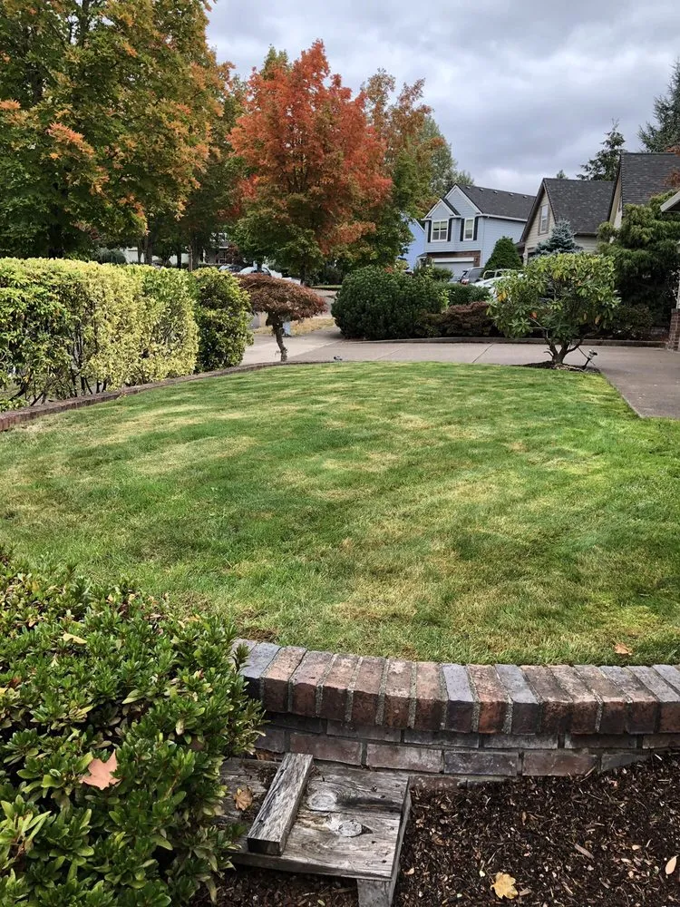 Affordable garden landscaping experts serving Corvallis, OR - Miguel's Lawn Care
