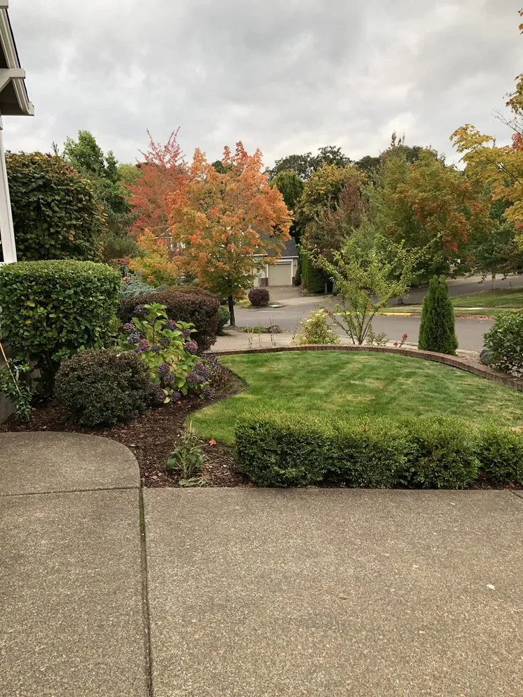 Top-rated yard cleanup service in Corvallis, OR by Miguel's Lawn Care