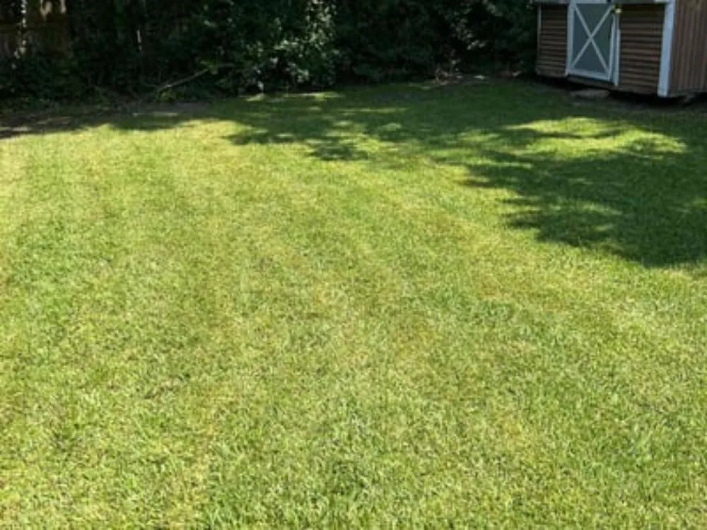 Local yard cleanup service with custom design in Tuscaloosa, AL by Miguel's Lawn Maintenance