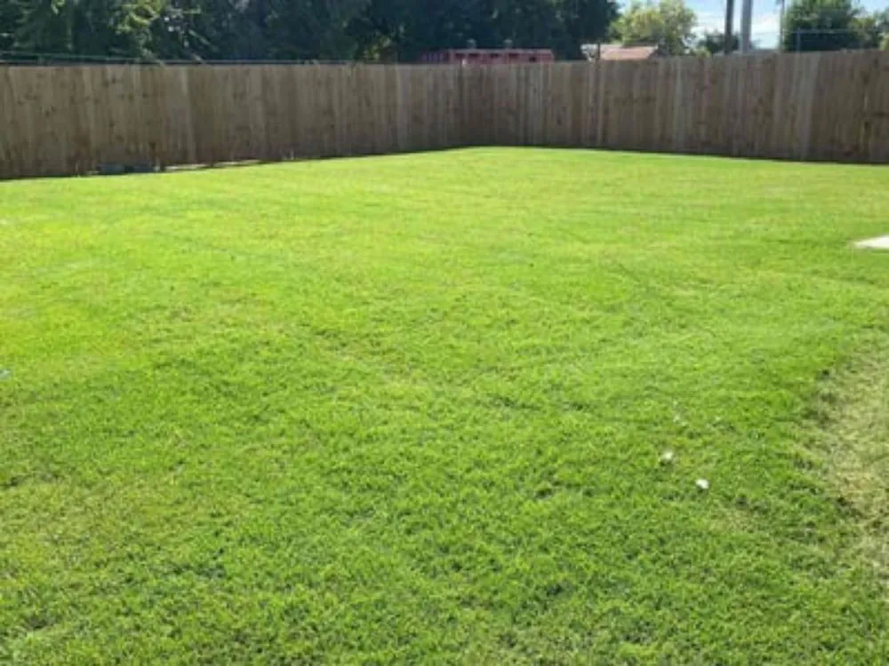 Trusted landscaping services in Tuscaloosa, AL - Miguel's Lawn Maintenance
