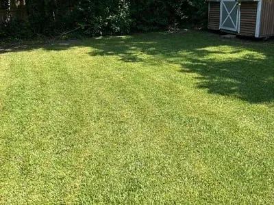 Expert yard cleanup service in Tuscaloosa, AL by Miguel's Lawn Maintenance