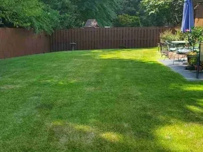 Miguel's Lawn Maintenance Logo