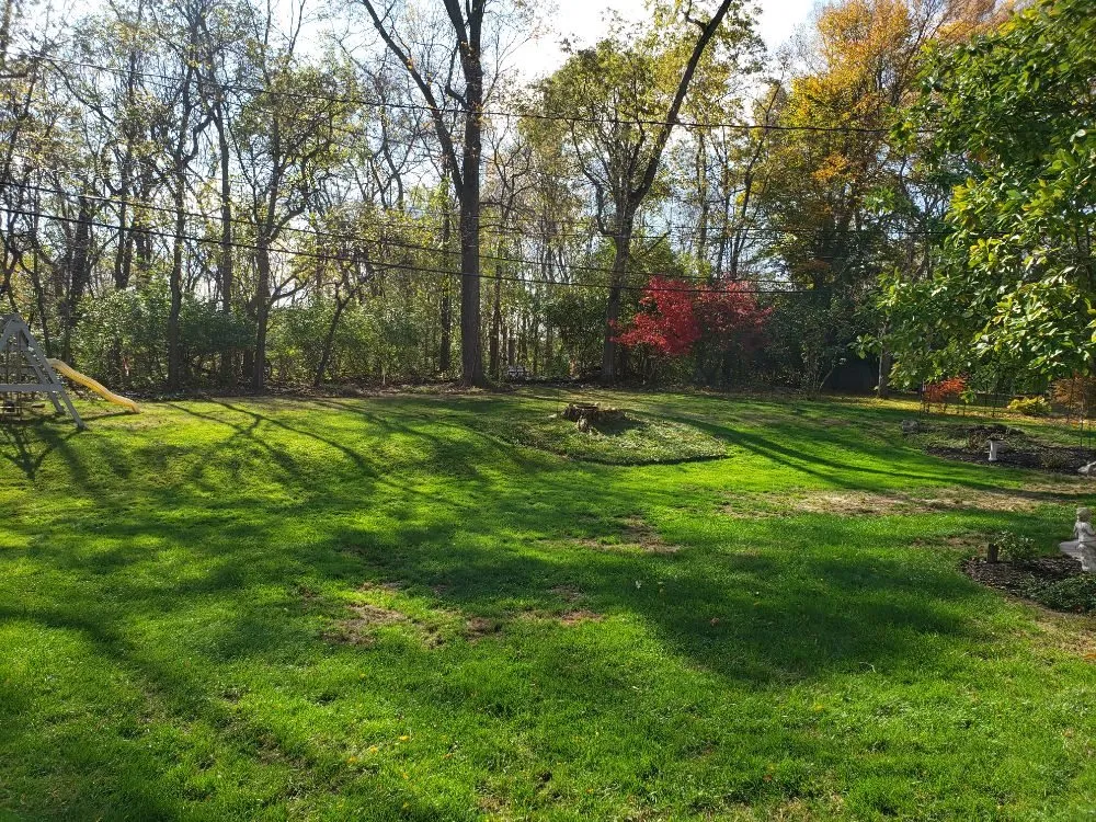 Top-rated lawn mowing service in Columbus, OH - Miguel’s Lawn Service