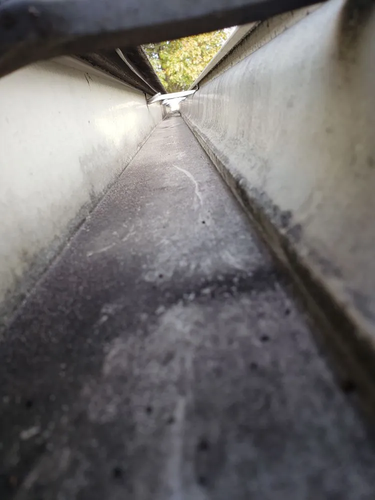 Top-rated landscaping services in Columbus, OH by Miguel’s Lawn Service