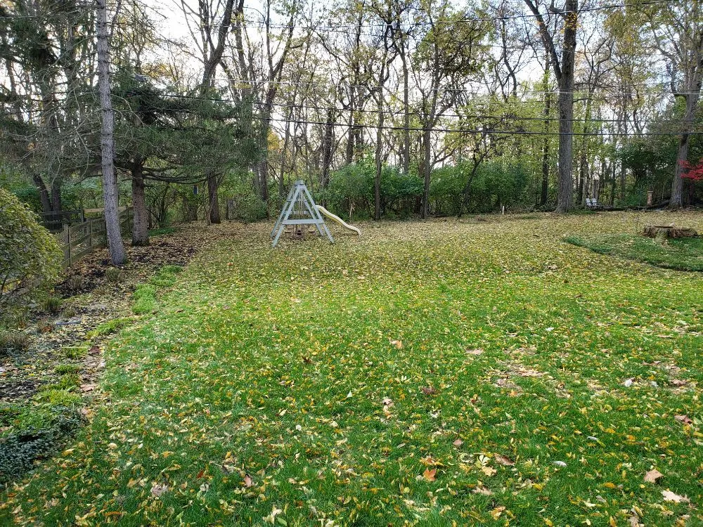 Expert landscape installation for homes across Columbus, OH - Miguel’s Lawn Service