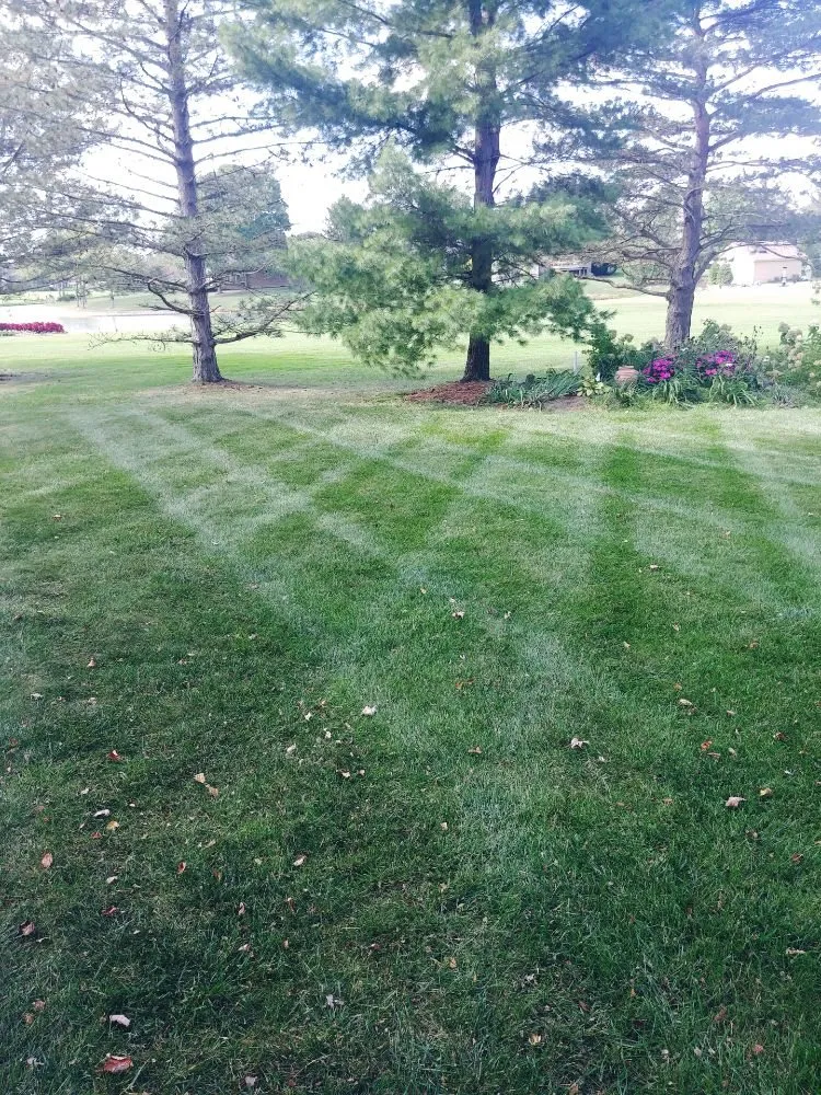 Expert yard cleanup service experts serving Columbus, OH - Miguel’s Lawn Service