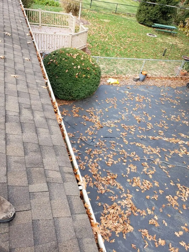 Professional yard cleanup service in Columbus, OH by Miguel’s Lawn Service