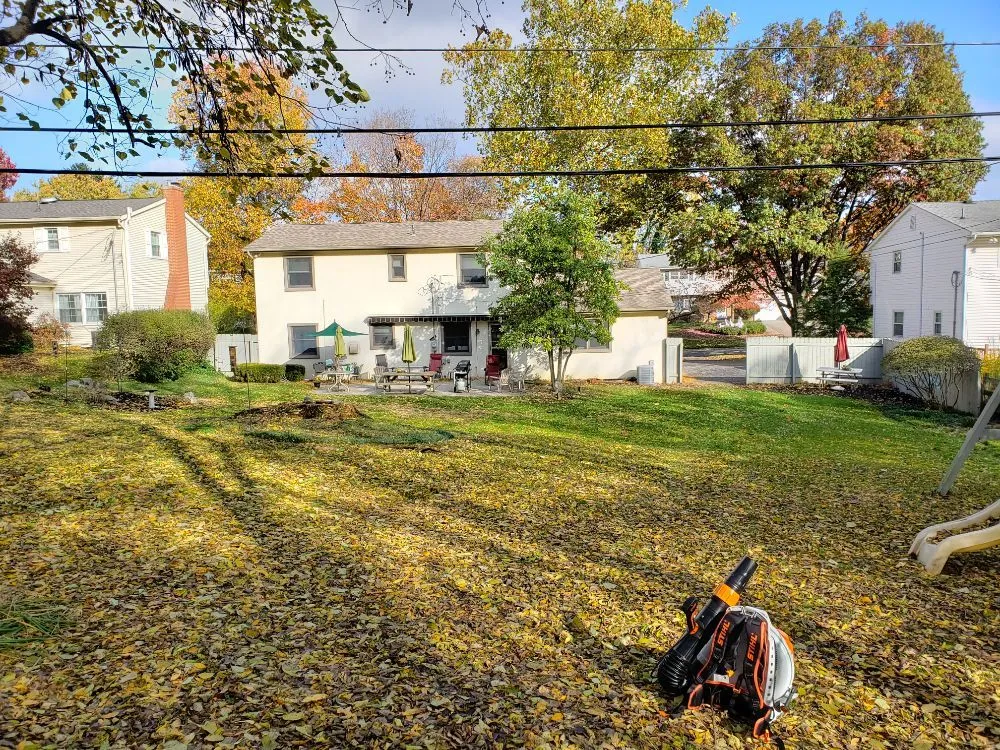 Reliable lawn care service near you in Columbus, OH by Miguel’s Lawn Service