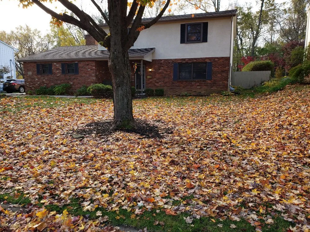 Expert landscape installation experts serving Columbus, OH - Miguel’s Lawn Service